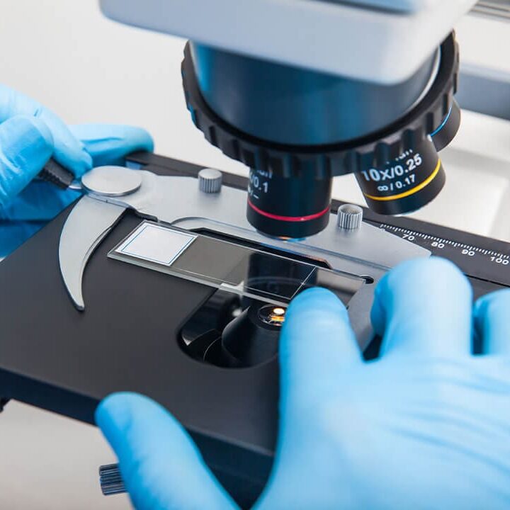 Diagnostics In Fruitville Fl