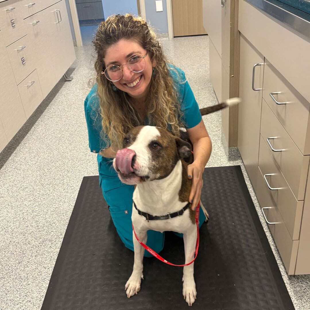 Dr Ariel Heiman posing for a picture with a dog indoors